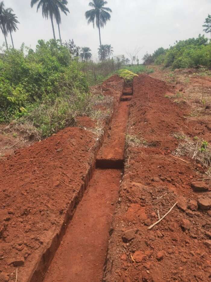 Perimeter fencing of GlowSpace Garden Estate. (2)